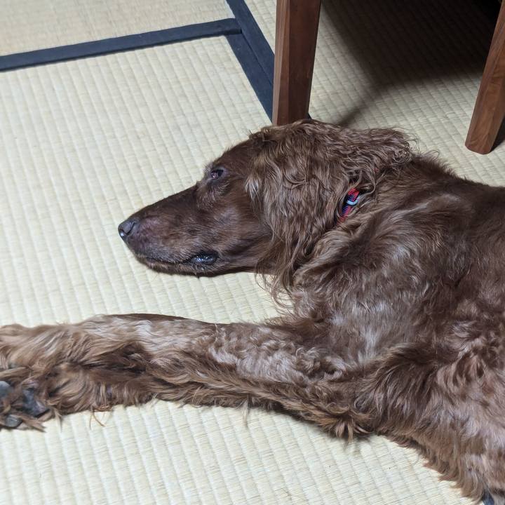 9583612d b609 44ad ad24 7aa5bbd61794 1757508496074