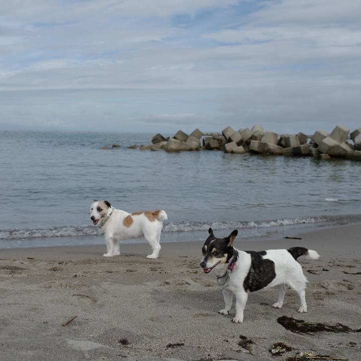 95837247 9cc3 4c37 bb2e 48c93bfa8fe1 1562993476697