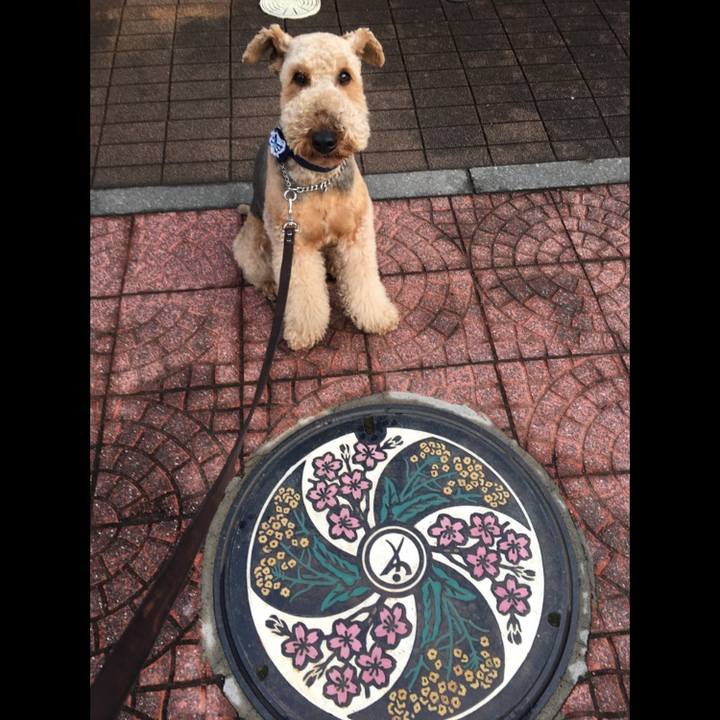 9583af20 ffdc 4f03 bfad 9f2c5c4c702e 1556540589061