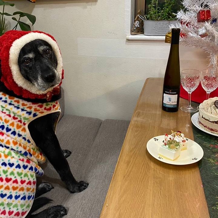 9583b6dc d8f3 447a 83e5 354969c7e587 1703423475903