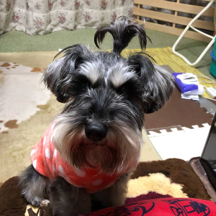 9583bfbc 5f3d 4a62 a839 6a8634802219 1551096488057