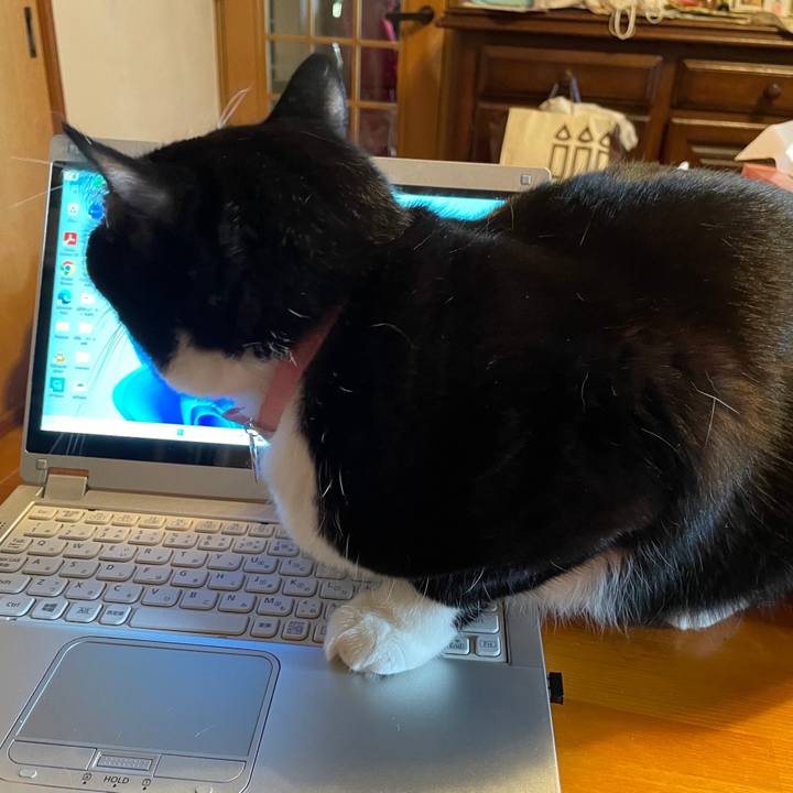 9583fd6f fbbe 4756 9517 663fb33a019d 1697359032956