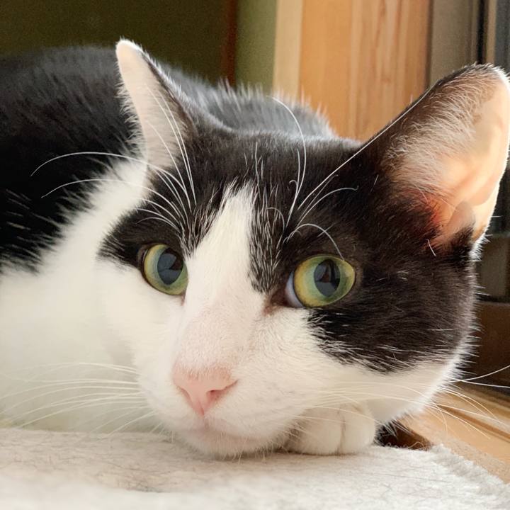 9584035b f31c 4e56 8431 da36e1005df3 1544491847288