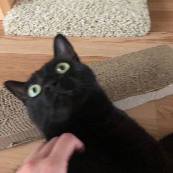 95840ac8 5f53 4fc2 a41c 9298cf9eb7aa 1568423564222