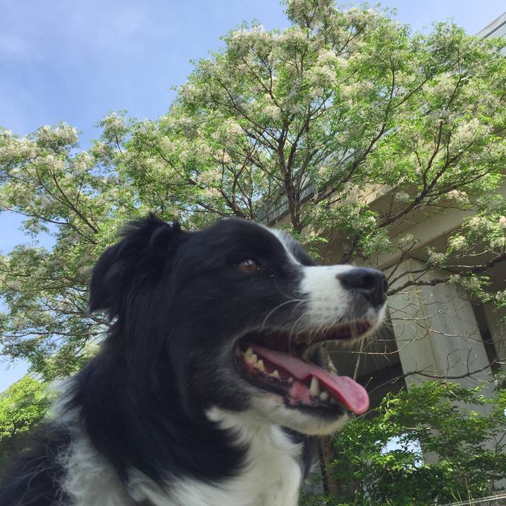 958415f2 e7fd 4e8a a6fe 56227224f875 1557972044823