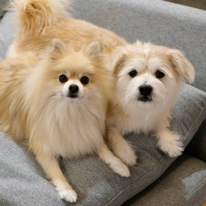 958420f1 5c0e 4a98 be8e f0df0e455c17 1772403448589