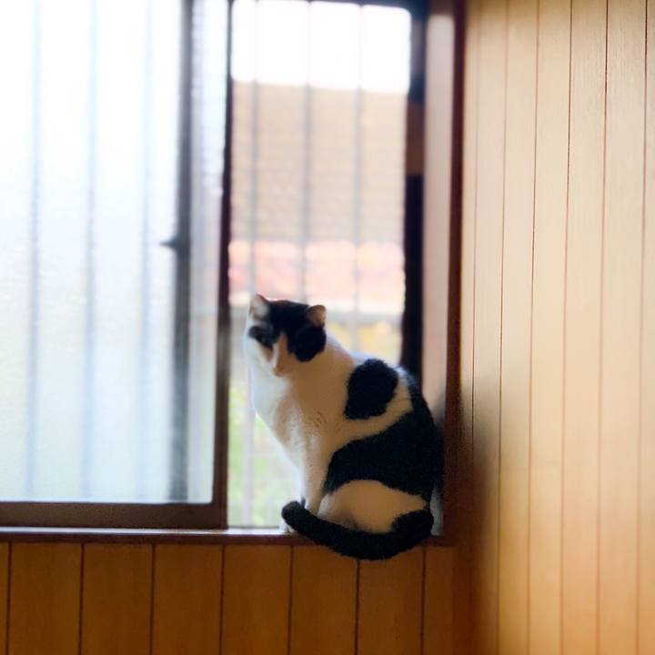 95843210 fdba 46e3 a8cb ce8c9daca7d4 1585446763430