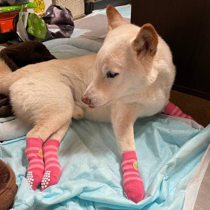 9584443f d3bc 4098 8984 12295d394e37 1637220065141