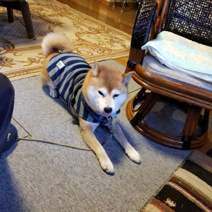 95845207 2ce3 4f44 ac3d e8f3f2b662ea 1549958853025