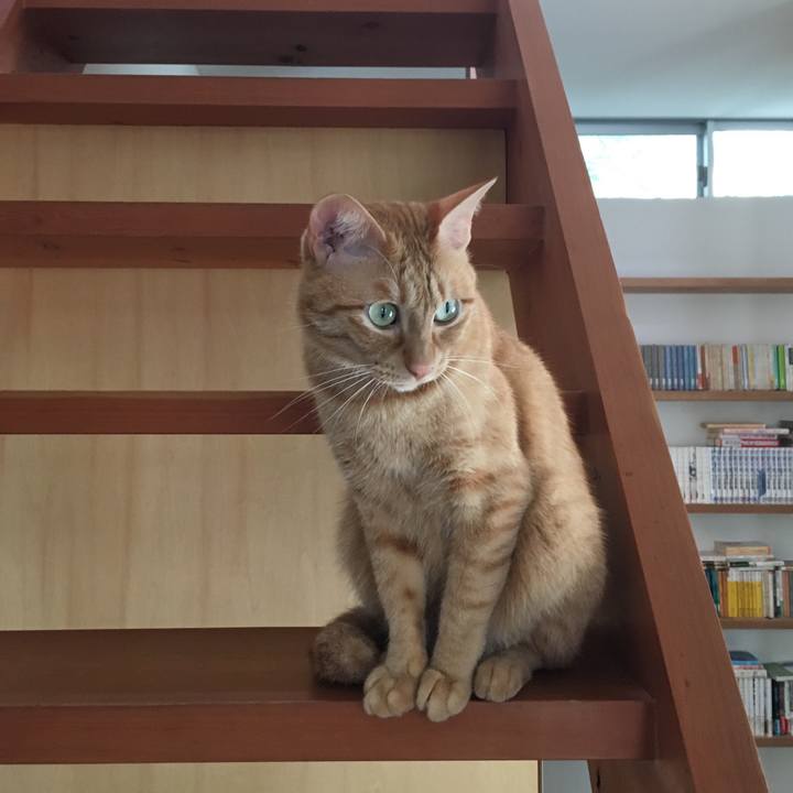 95847de9 f3bd 4ab7 8f01 1d45938b860c 1536107143437