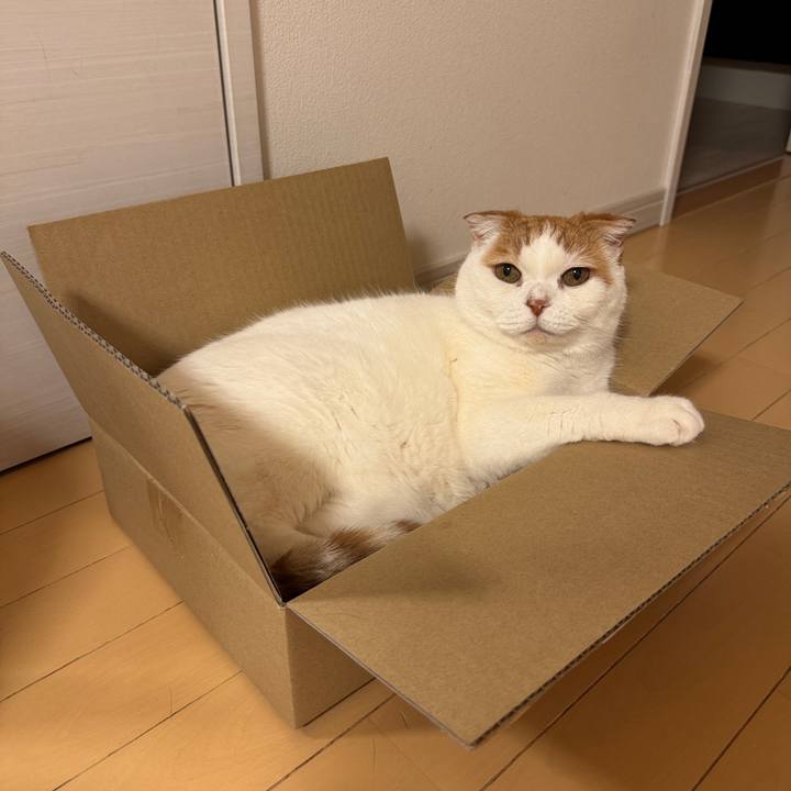 9584957a 5683 4860 977b 3cd5f513e9a3 1774535332156