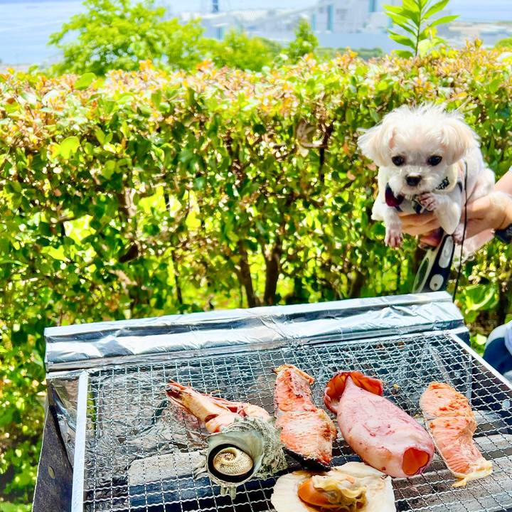 9584bbd1 2aa5 4f25 970f 260c2a2b362e 1685154986557