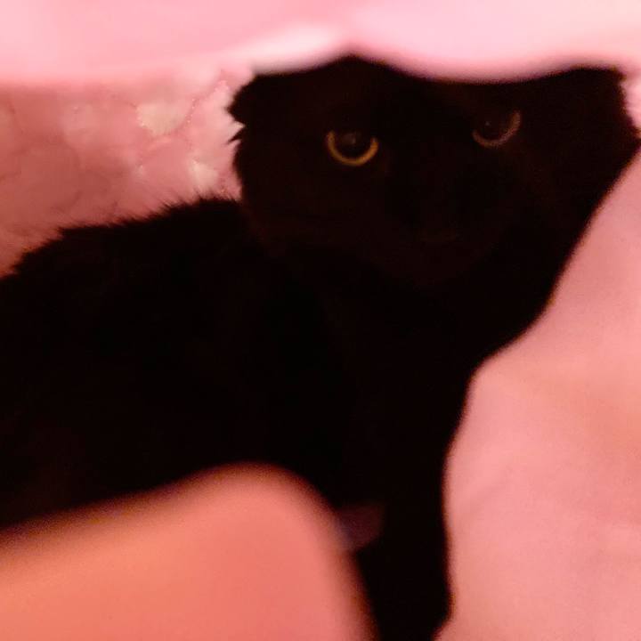 9584f8de acad 42fe 8458 2524a46ccea0 1740302465085