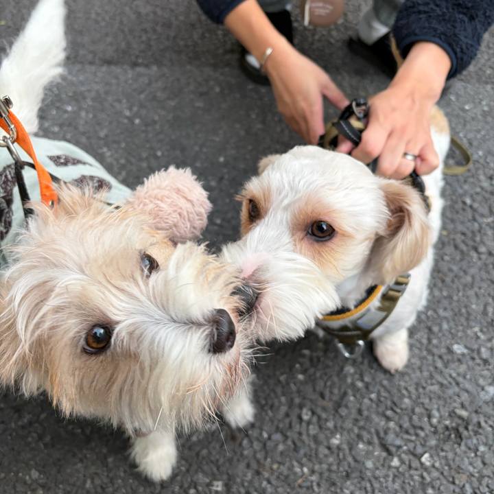 95850c34 c03f 4259 9efa 82f5bc3c19dc 1763420614026