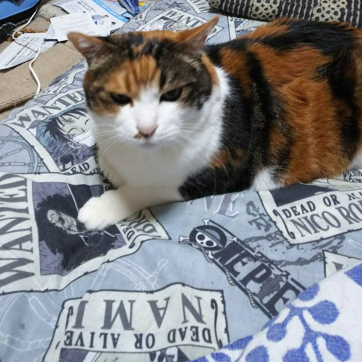 95851b81 4723 4160 bb01 daae1e5f17ff 1531430995339