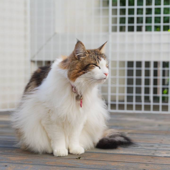 95854cda 2fe5 4397 b4ec 860613f0859a 1704786382342