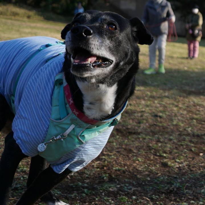 958582f6 ee09 4985 a9b1 4d88606593c8 1773276382876