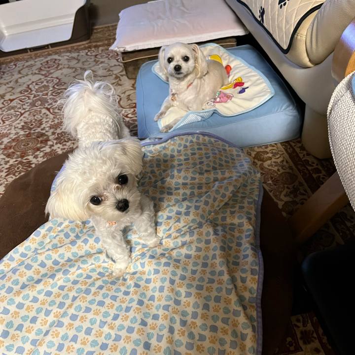 95858918 a0f8 405f 8f28 8a528f53b422 1718704034842