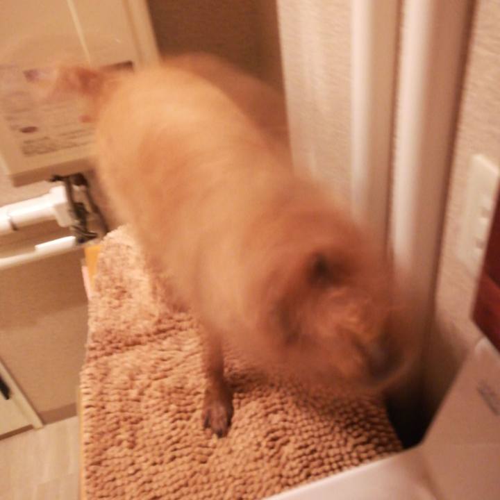 95858db4 4050 4133 88d1 9c9a4be79b76 1538434663076