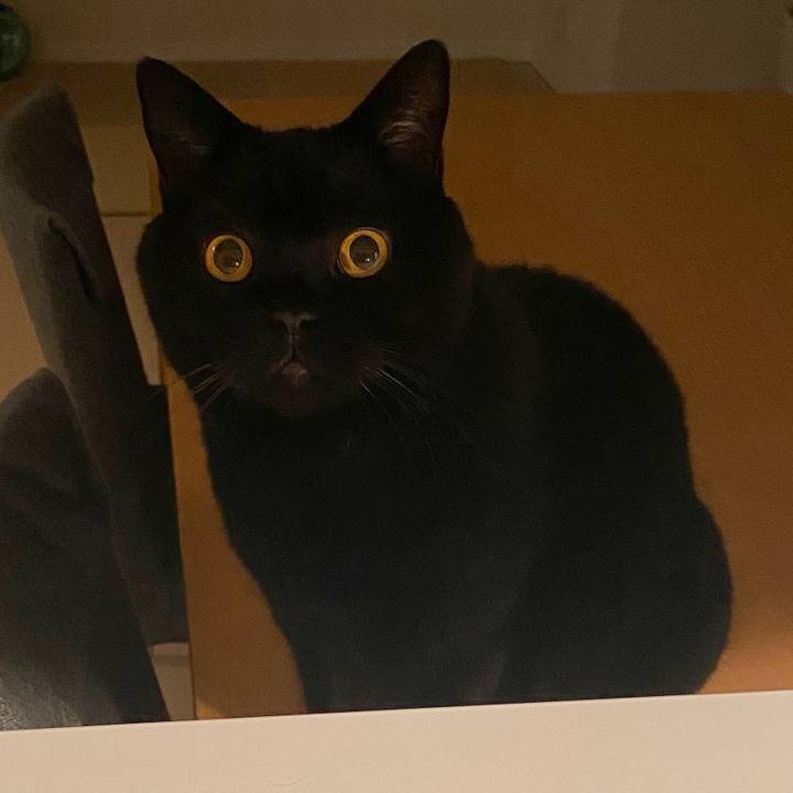 9585ed6d 489a 4de2 aa1e 61a3a76f4a04 1730026158252