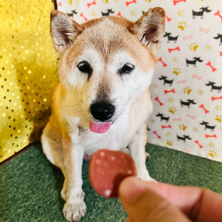 9586028f ce1f 4410 8503 428c2c13da4d 1755914833166