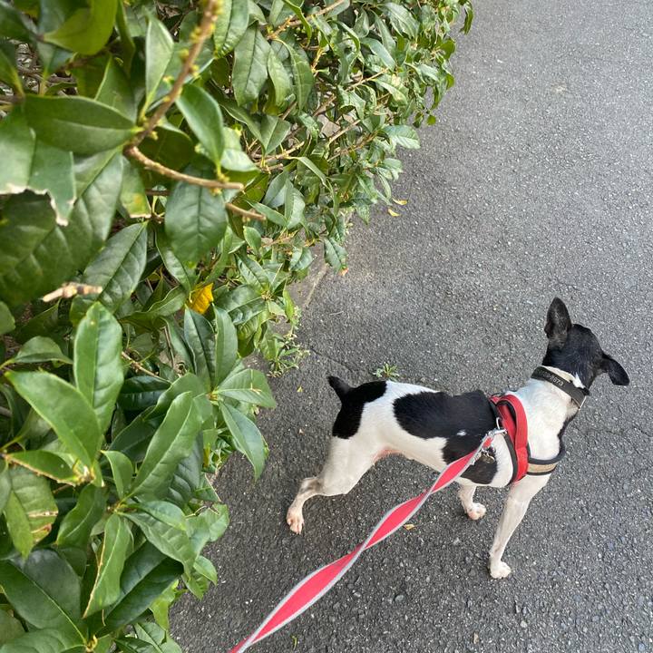 95861004 cd99 4330 a1f9 c2dfa4051e76 1602025123253