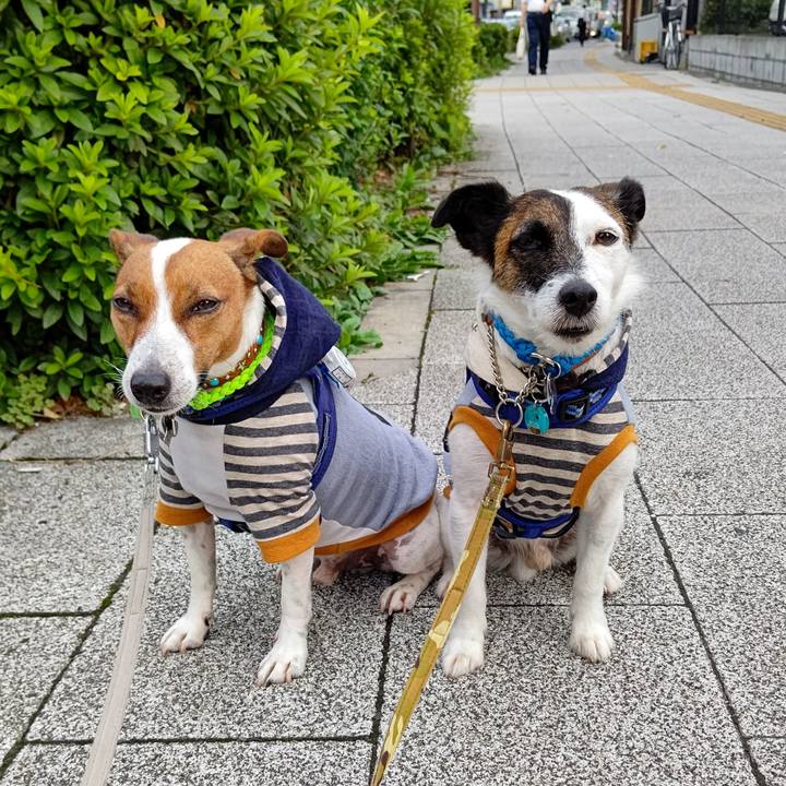 9586329a 9340 42f9 bfa7 28d632c19e3d 1624226851201