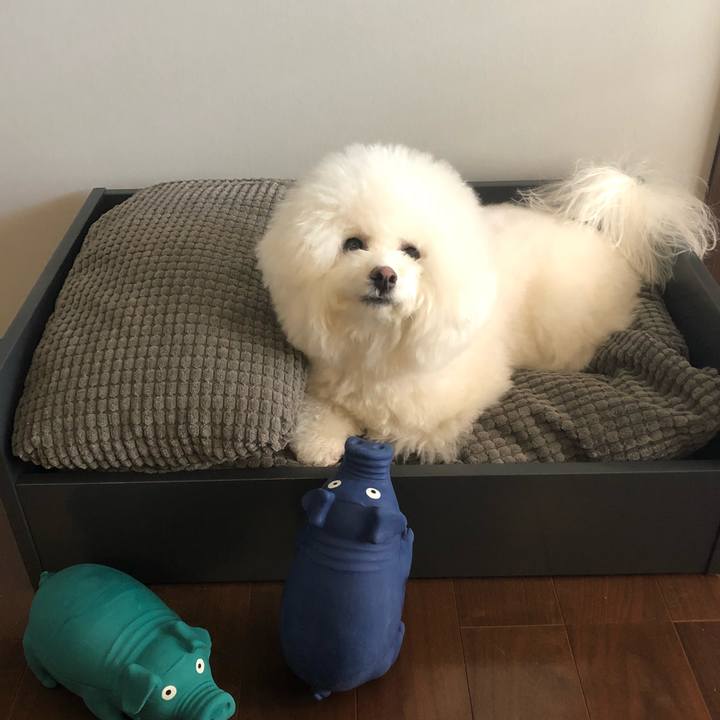 95863429 bcb5 4619 bb6a 1090f636c605 1515245299381