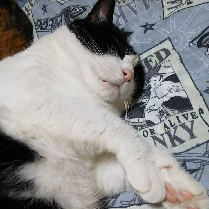 958645a5 b67d 407c b081 1d25bd7f5b52 1528985810989