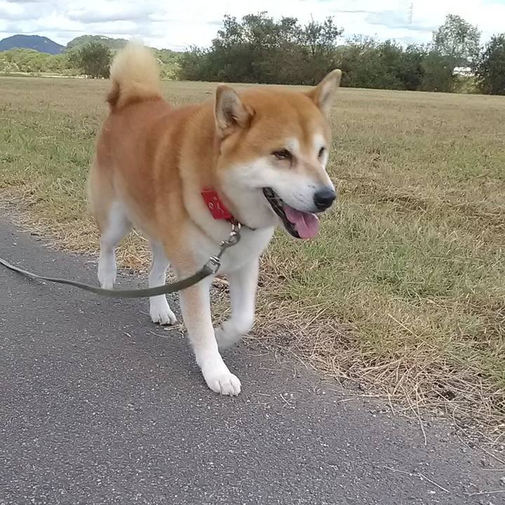 95866a88 1180 43f7 9083 084f96ab9d1f 1634264989195