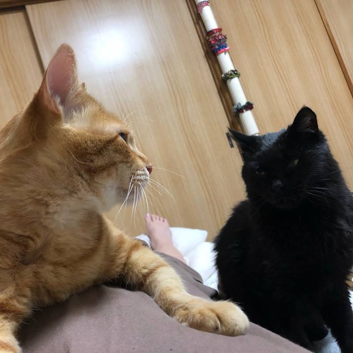 95866b43 9e08 42c2 a959 5e0517758410 1604402234576