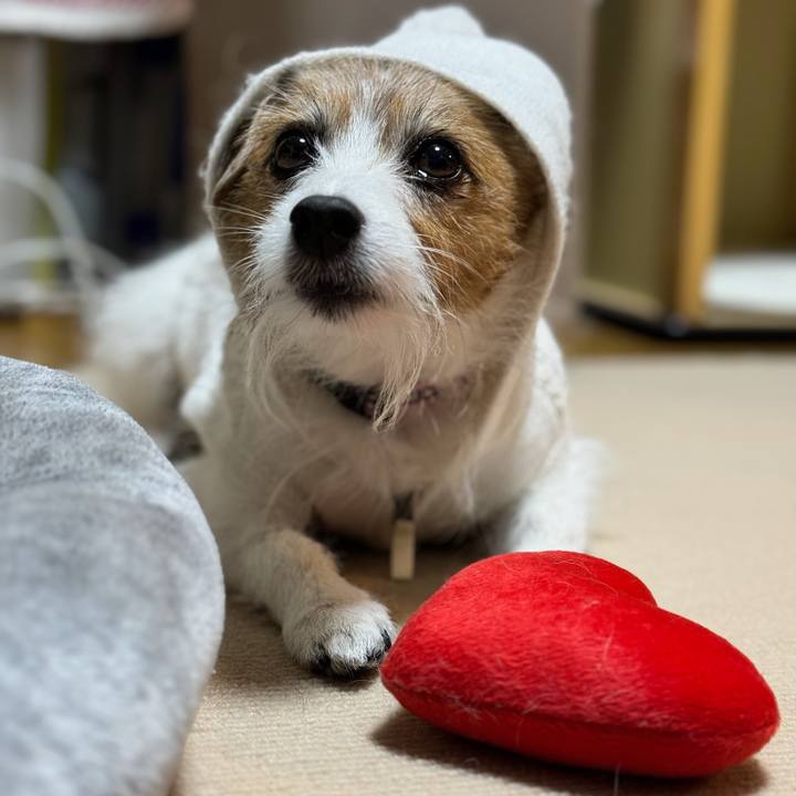 958691ea d289 432c 932b 12db5e211a2a 1704264859809