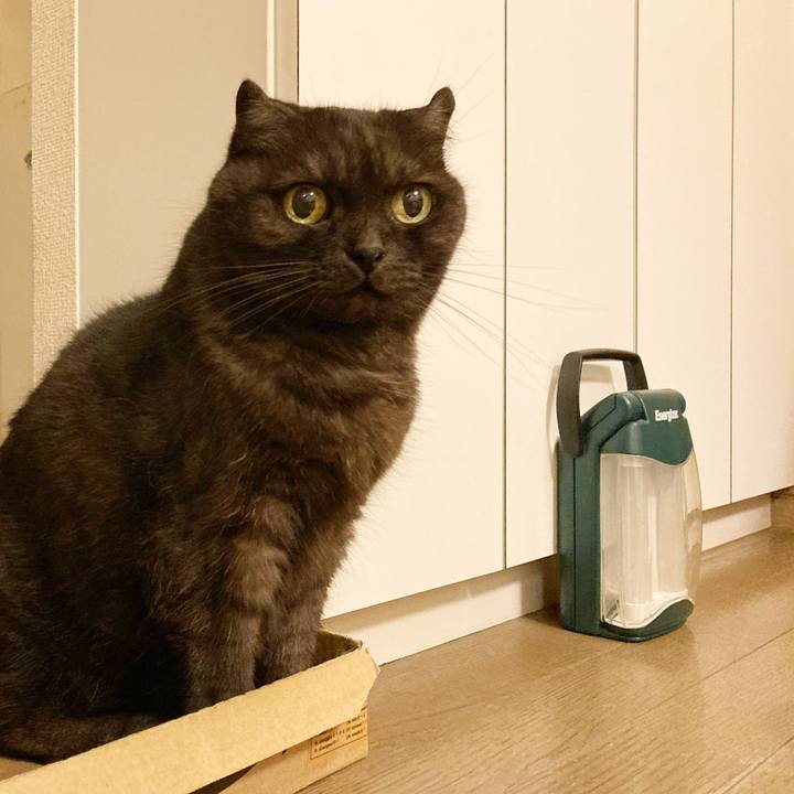 95869ed7 05c8 4719 b4c5 b5fc76aa233a 1596464825279