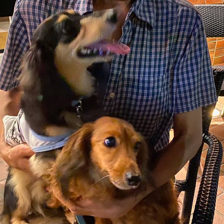 9586bbac d2b7 4233 ae9f a5e902e4294c 1688336325251