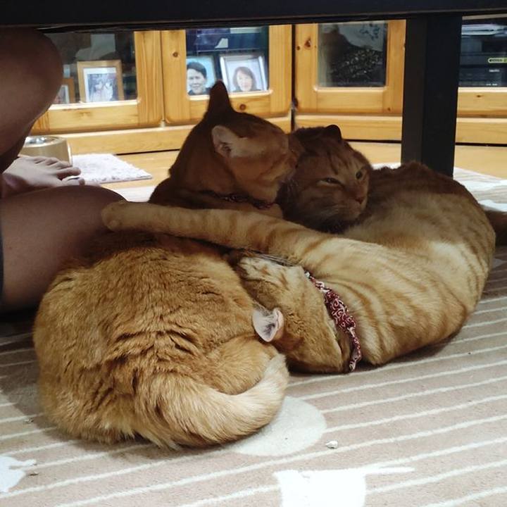 9586d257 0417 40ee 9667 1cfd3cd4dfb9 1705126512425