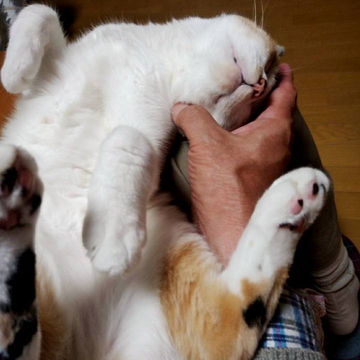 9586e772 dcd8 489b 96b5 a215e37cc596 1571313931219