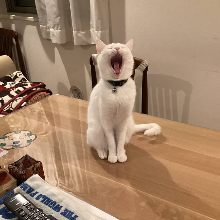 9586ea2f aea9 41a0 aad9 9aee0b0ac276 1645357793305