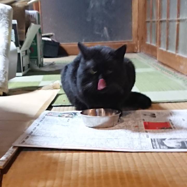 9586fc23 b477 46d5 8984 16807b93a630 1614680693711