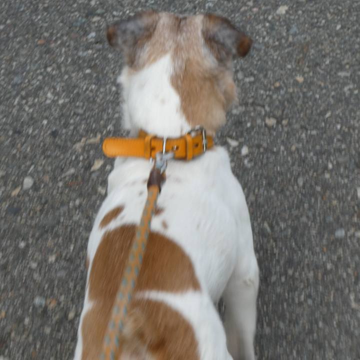 958788b7 7645 4e72 b37e 3e16b3cd80b3 1594036177406