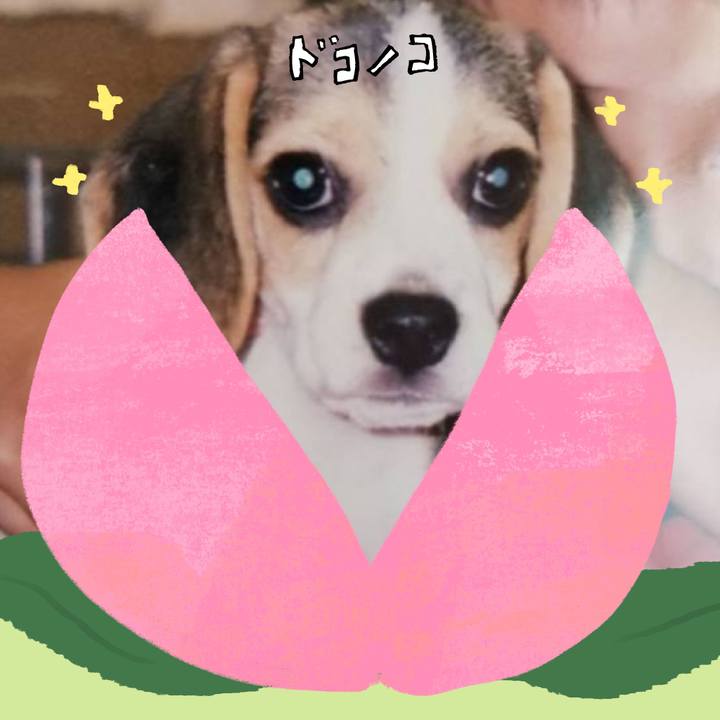 9587a7a9 3367 407f aea0 9a1a36c9c461 1772147973552