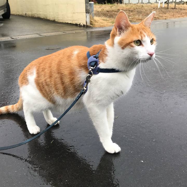 9587bbe2 f40b 4280 803a 8a35d1a5d118 1511486243775