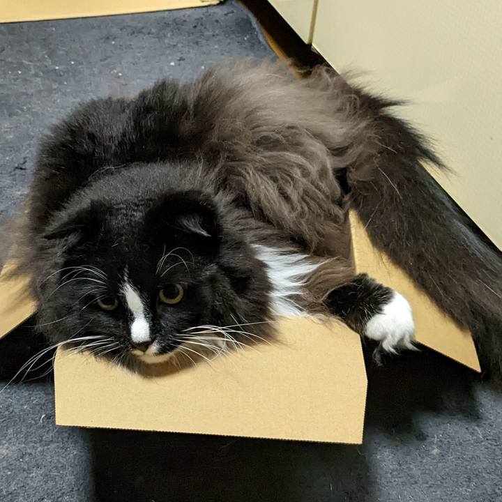 9587bdea 9386 47c7 8047 1c6ec7adcd6a 1669764316486