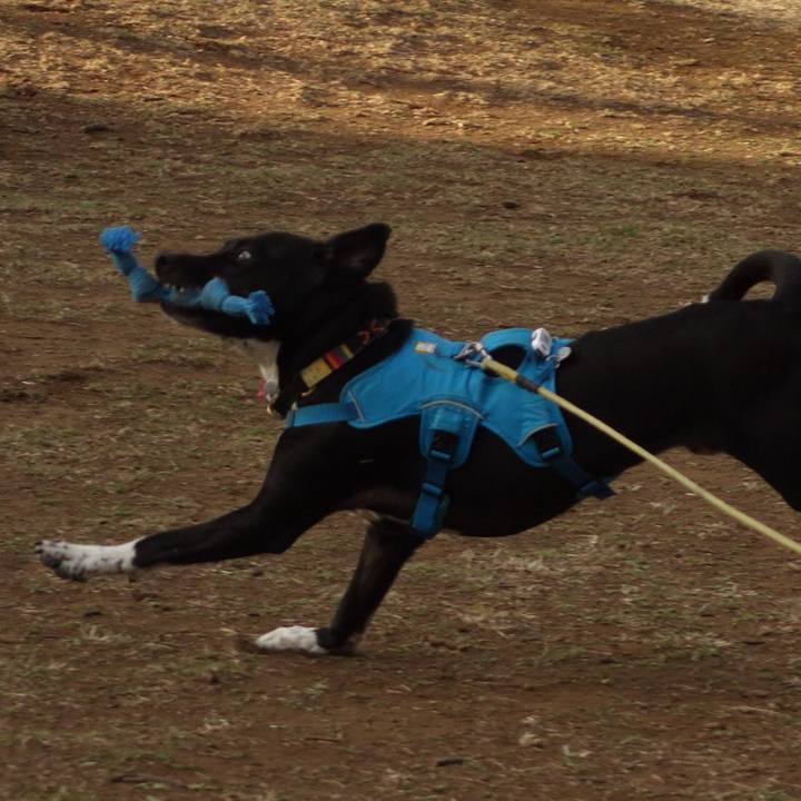 9587d873 e69e 4585 aca9 70cd69065fd6 1614386626779