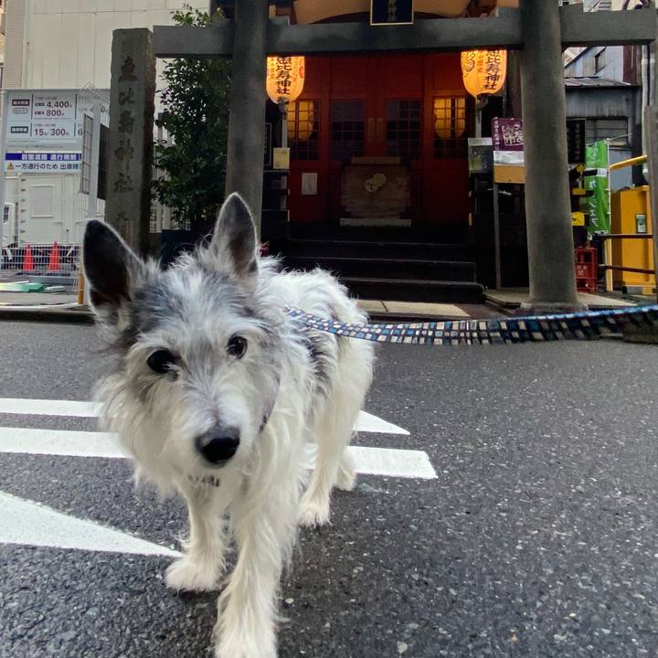 9587eddb 1110 4019 8bdf 10fb4b9e7dc0 1618790356105