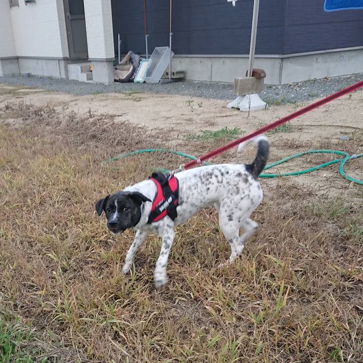 9587f176 6034 43d8 a943 ad548e4bda3b 1659862589175