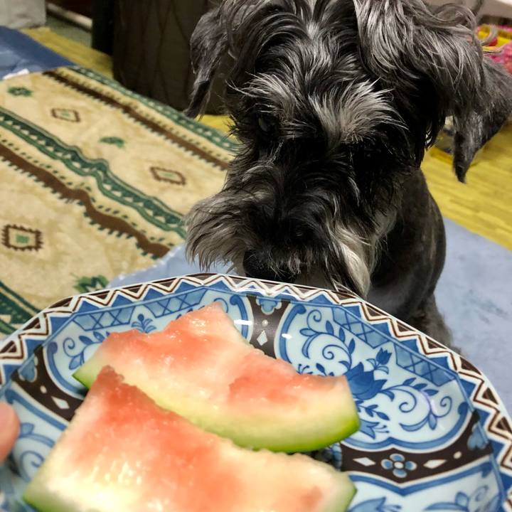 9588119a 7a20 4186 8dfc 6e5a61fa694e 1687006001028