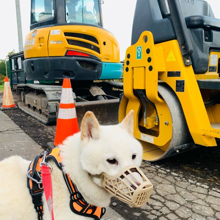 95881d22 3448 4502 bbf4 29de0190a961 1634335671563