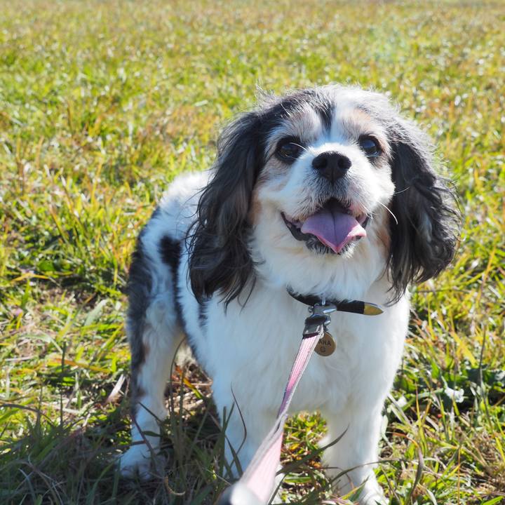 95883372 f1bb 4b48 8e01 74347725e091 1573963102559