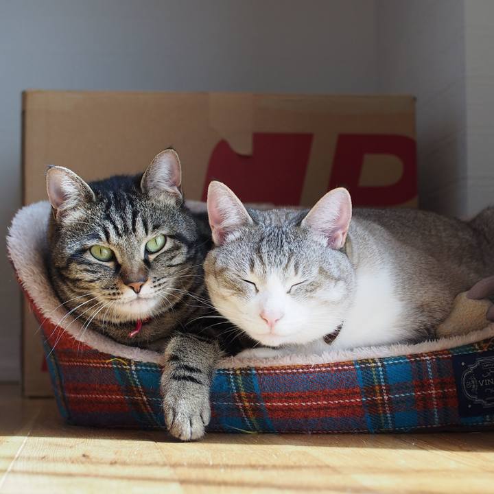 958840fe a45e 4179 93d4 dc8b4be348c9 1586950545072