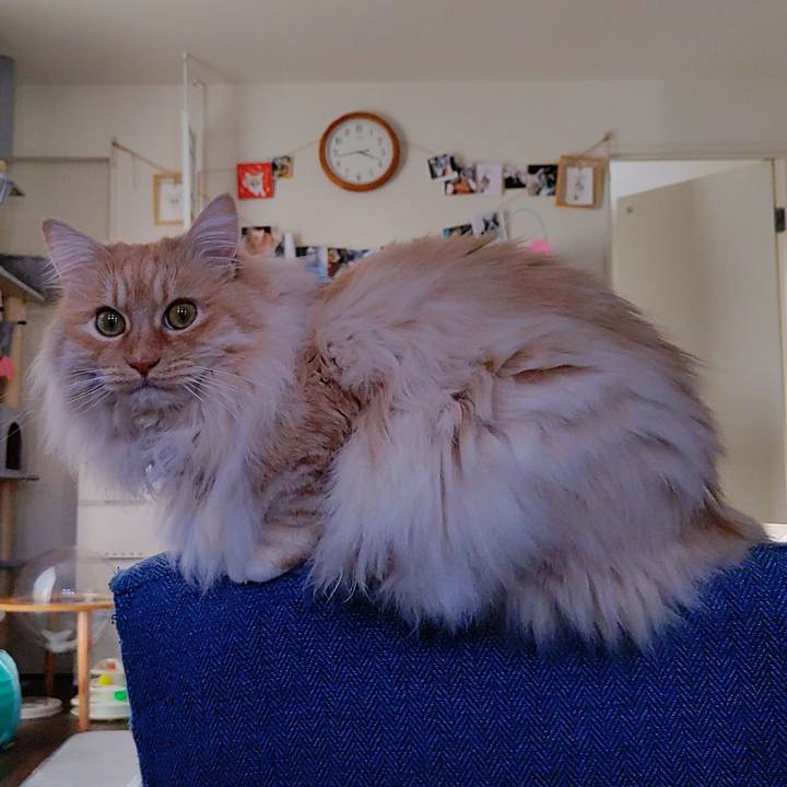 958856b2 8670 439b 8933 8fea8c8a2dba 1711883927091